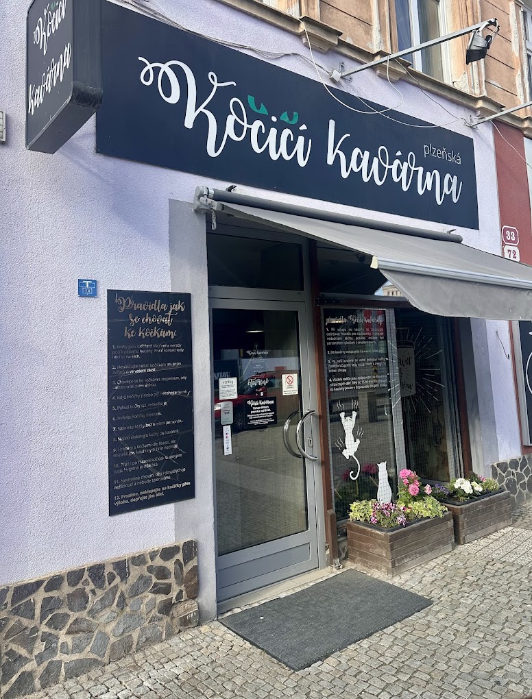 Vchod do Kočičí kavárny Plzeň